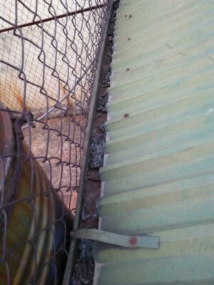 cách chống thấm giữa hai nhà