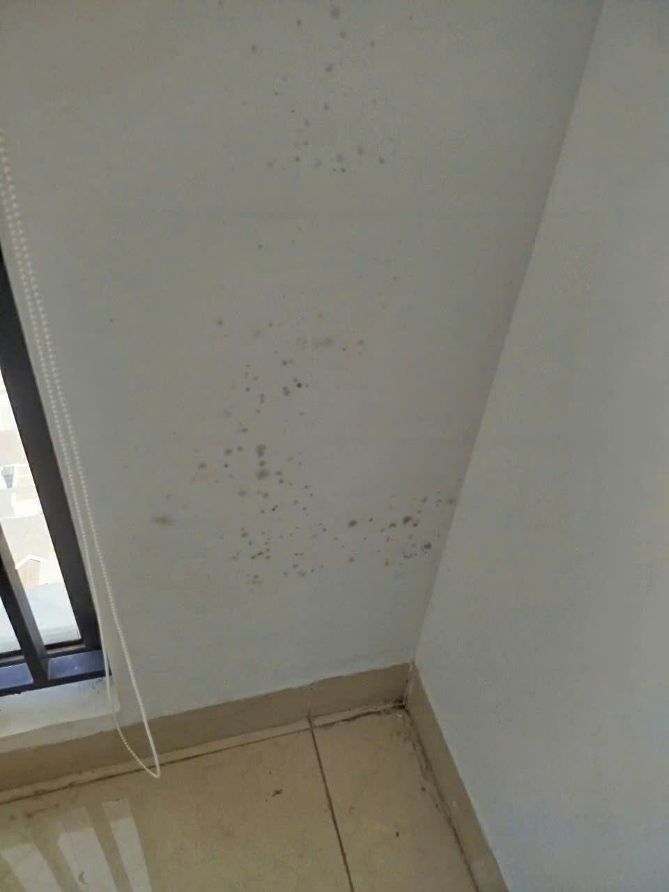 chống thấm tường nhà