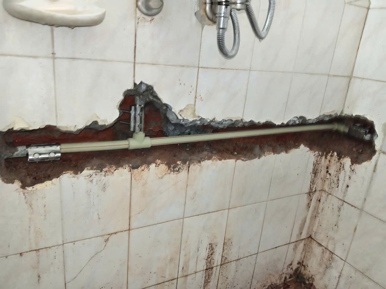 tối ưu ánh sáng và mang lại vẻ đẹp hiện đại